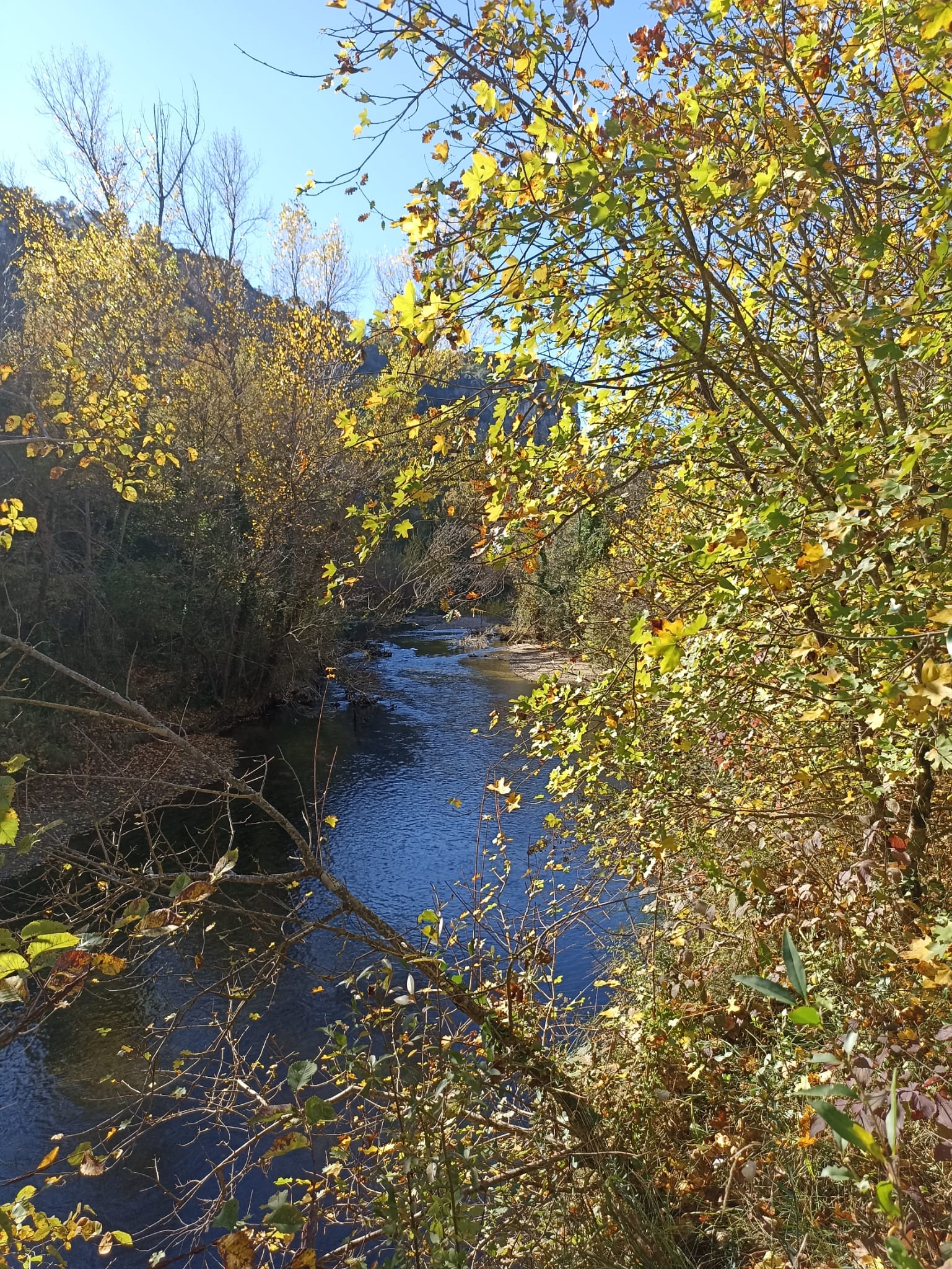 Le chemin de la mélodie de l'eau